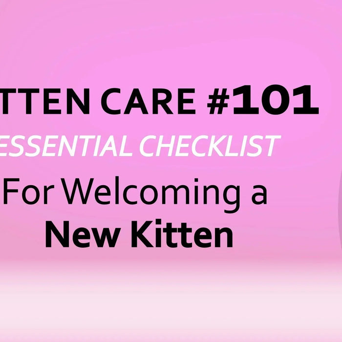 Kitten Care 101: Your Essential Checklist for Welcoming a New Kitten - Ofypets