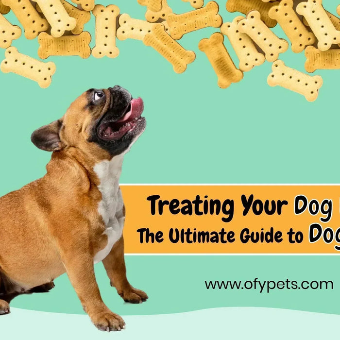 Treating Your Dog Right: The Ultimate Guide to Dog Treats - Ofypets