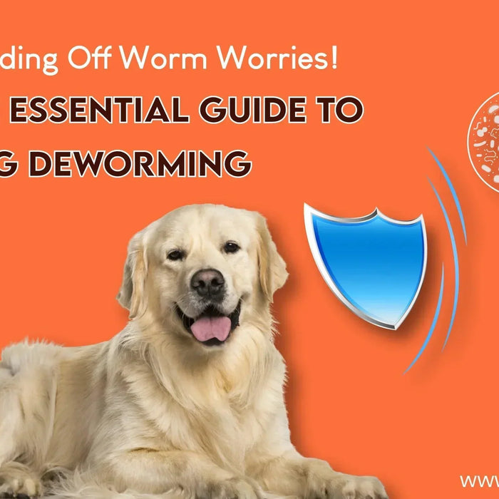 Warding Off Worm Worries: The Essential Guide to Dog Deworming - Ofypets