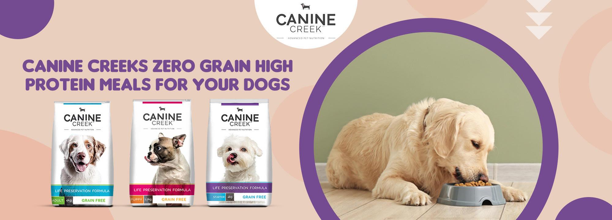 Picture of Grain & Grain free premium dog food with 7 antioxidants — Ofypets