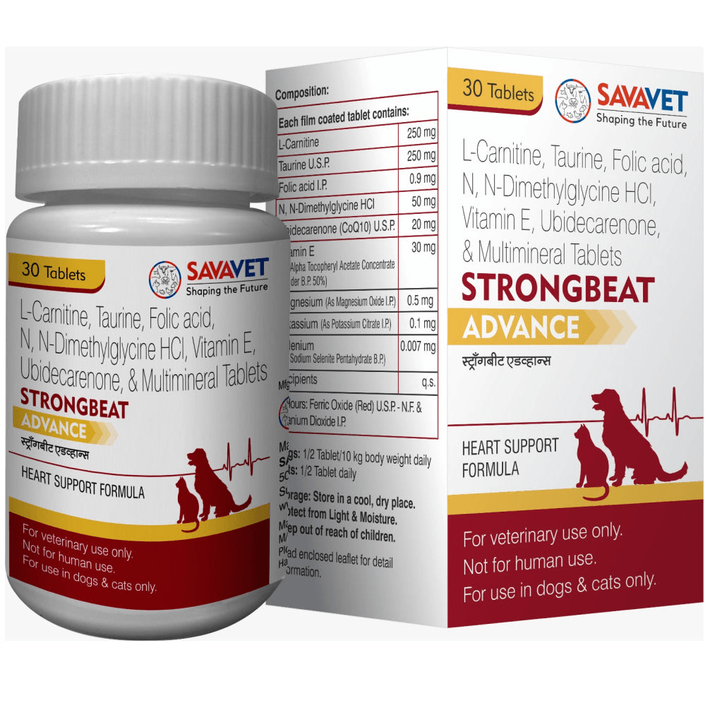 l-carnitine dosage for dogs Dog Supplement 60ct Supports Energy Vitality & Healthy Weight CARDIOMAX Heart & Cardiac Support