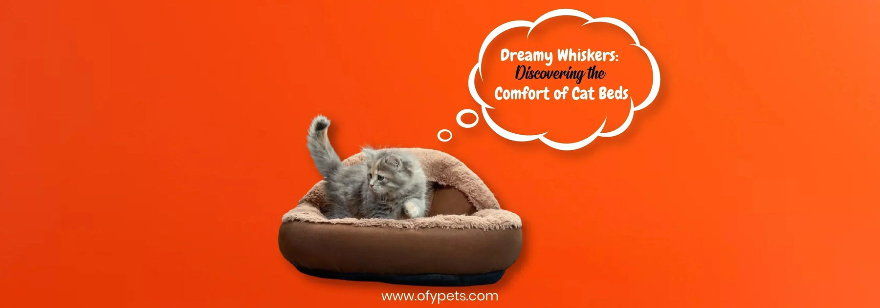 Dreamy Whiskers: Discovering the Comfort of Cat Beds - Ofypets