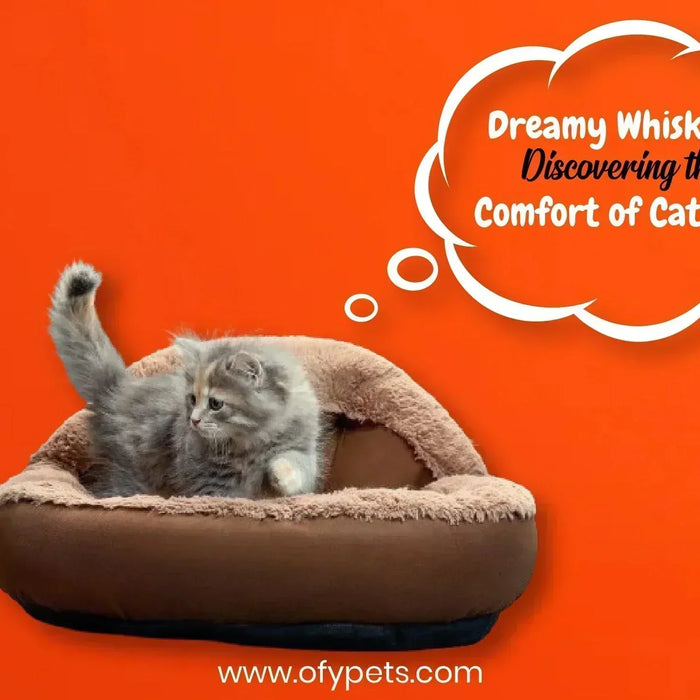 Dreamy Whiskers: Discovering the Comfort of Cat Beds - Ofypets