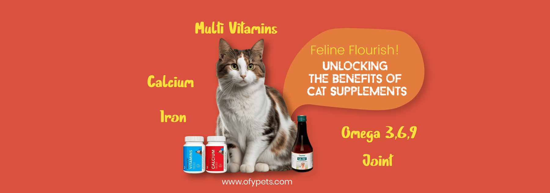 Feline Flourish: Unlocking the Benefits of Cat Supplements - Ofypets