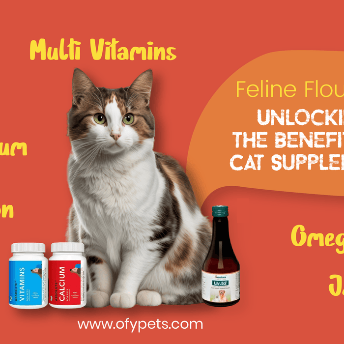Feline Flourish: Unlocking the Benefits of Cat Supplements - Ofypets