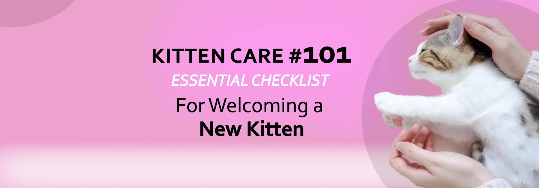Kitten Care 101: Your Essential Checklist for Welcoming a New Kitten