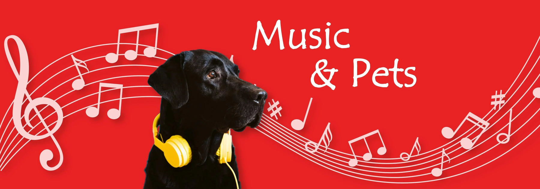 Music and Pets - Ofypets
