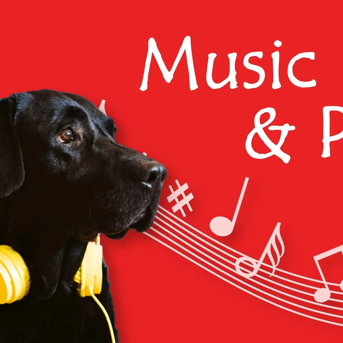 Music and Pets - Ofypets