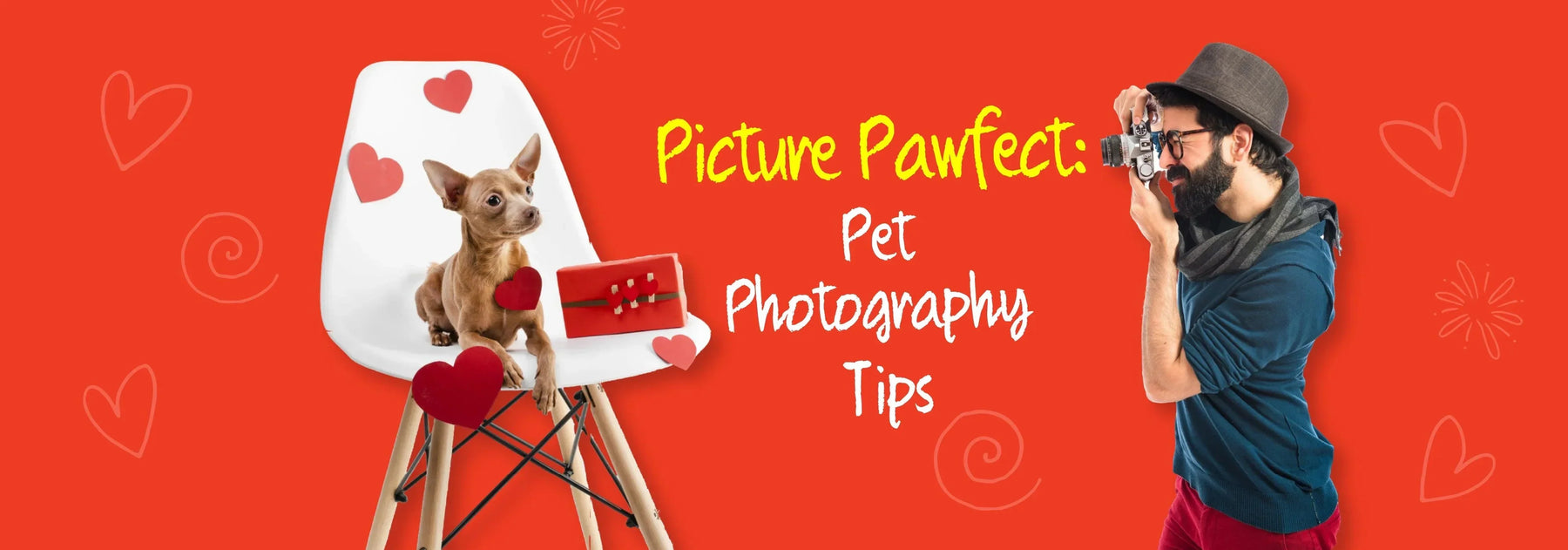 Picture Pawfect: Essential Pet Photography Tips - Ofypets