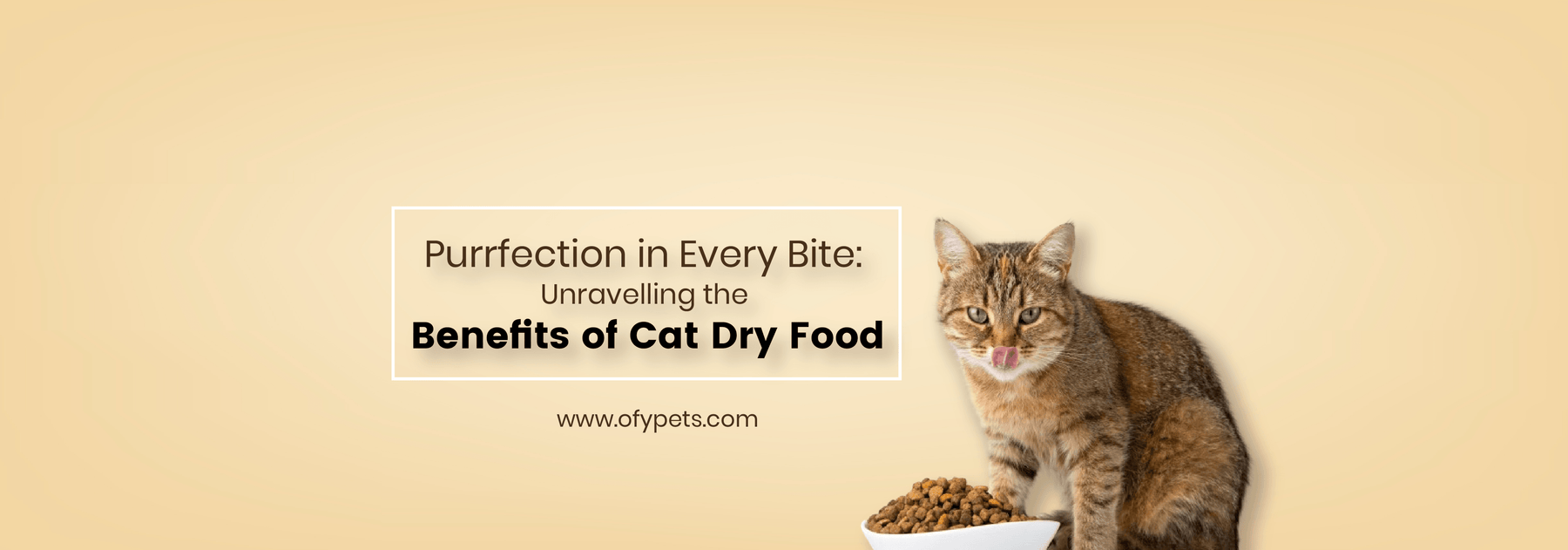 Purrfection in Every Bite: Unravelling the Benefits of Cat Dry Food - Ofypets