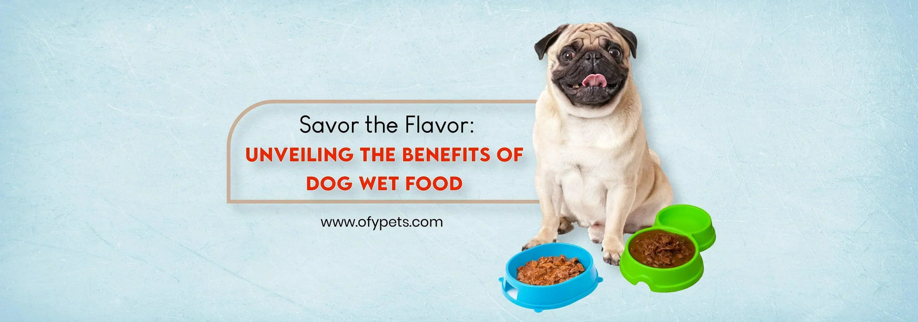 Savor the Flavor: Unveiling the Benefits of Dog Wet Food - Ofypets