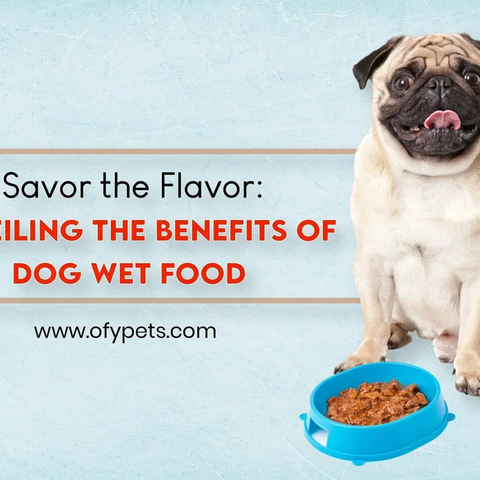 Savor the Flavor: Unveiling the Benefits of Dog Wet Food - Ofypets