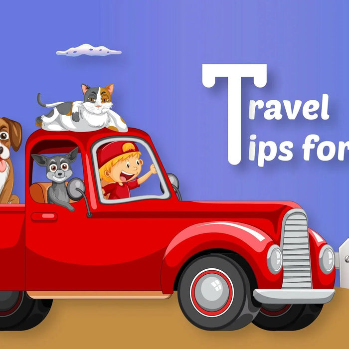 Traveling with Your Furry Children: Essential Tips and Checklist - Ofypets