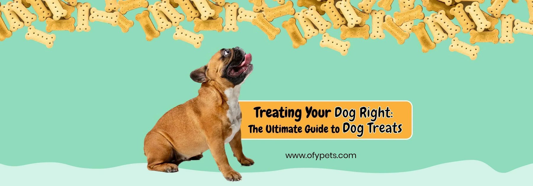 Treating Your Dog Right: The Ultimate Guide to Dog Treats - Ofypets