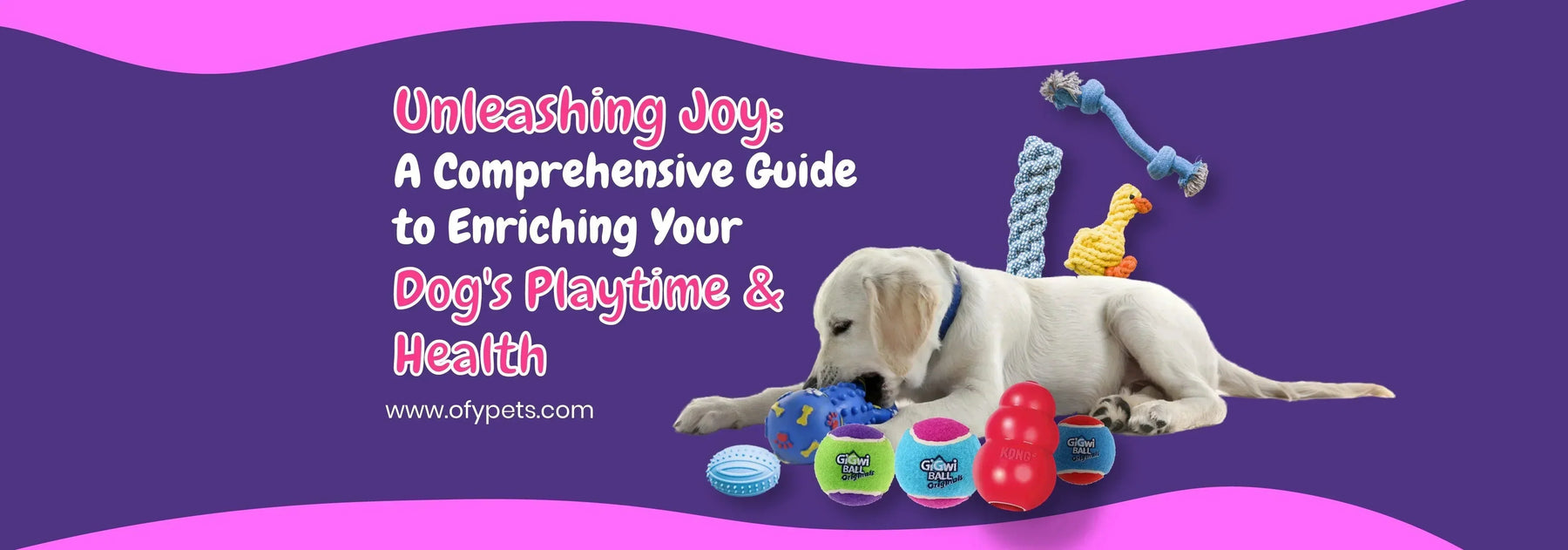 Unleashing Joy: A Comprehensive Guide to Enriching Your Dog's Playtime & Health - Ofypets