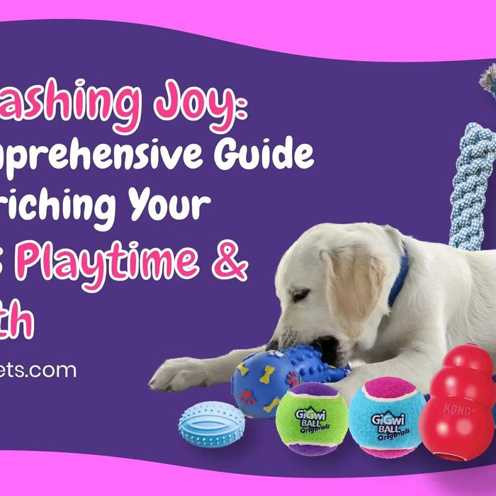 Unleashing Joy: A Comprehensive Guide to Enriching Your Dog's Playtime & Health - Ofypets