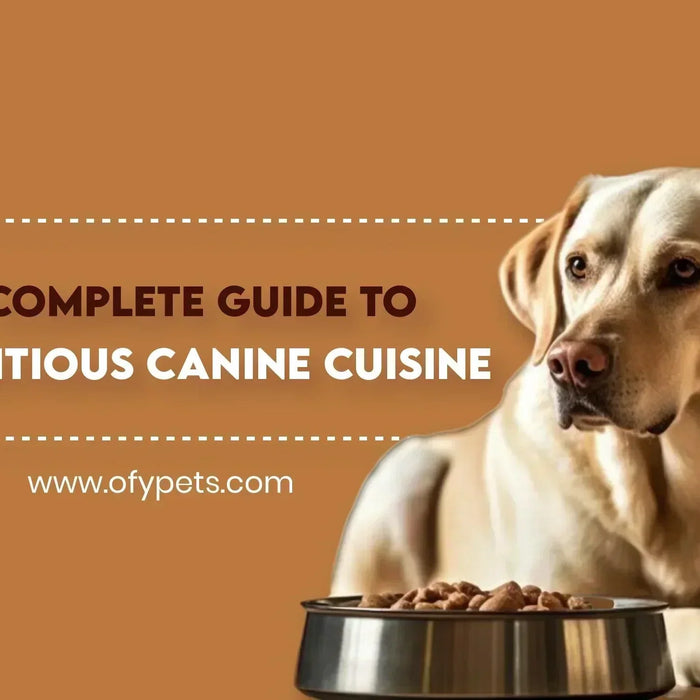 Unleashing the Power of Dog Dry Food: A Complete Guide to Nutritious Canine Cuisine - Ofypets