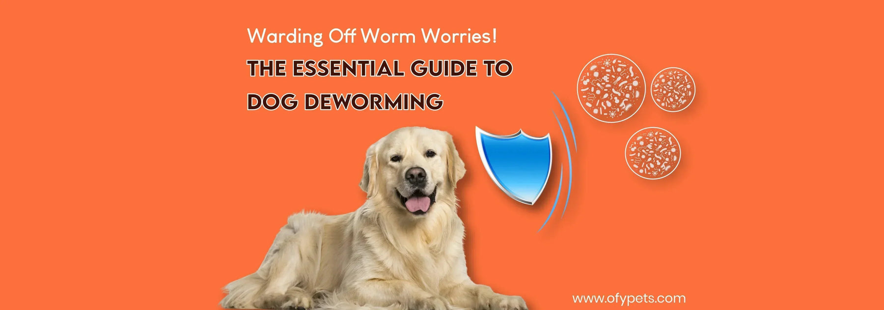 Warding Off Worm Worries: The Essential Guide to Dog Deworming - Ofypets