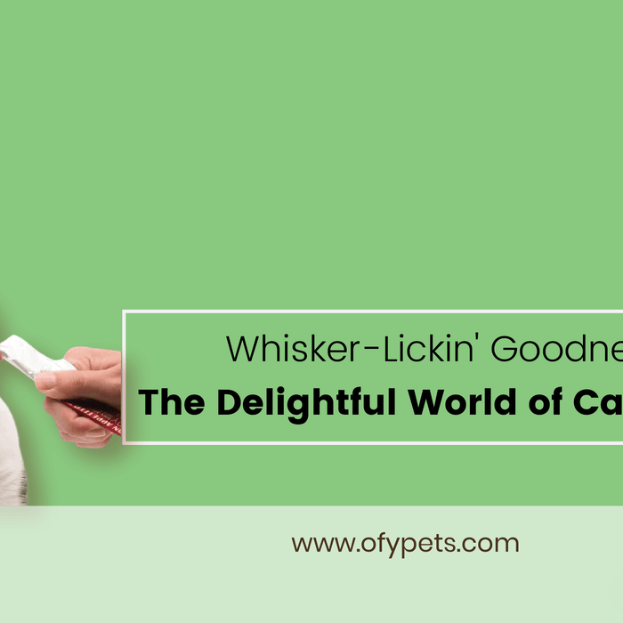 Whisker-Lickin' Goodness: The Delightful World of Cat Treats - Ofypets