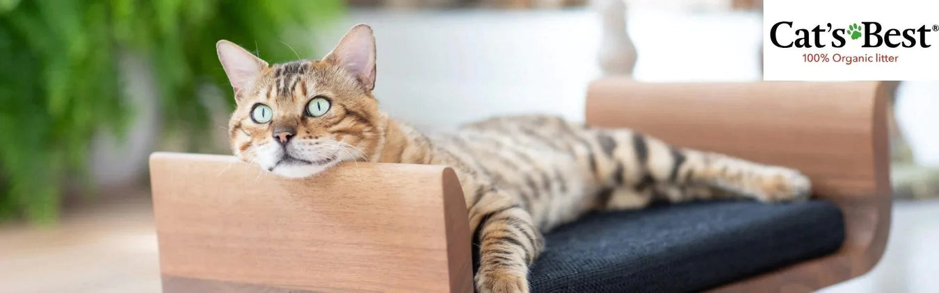 Cats Best Cat Litter - Ofypets