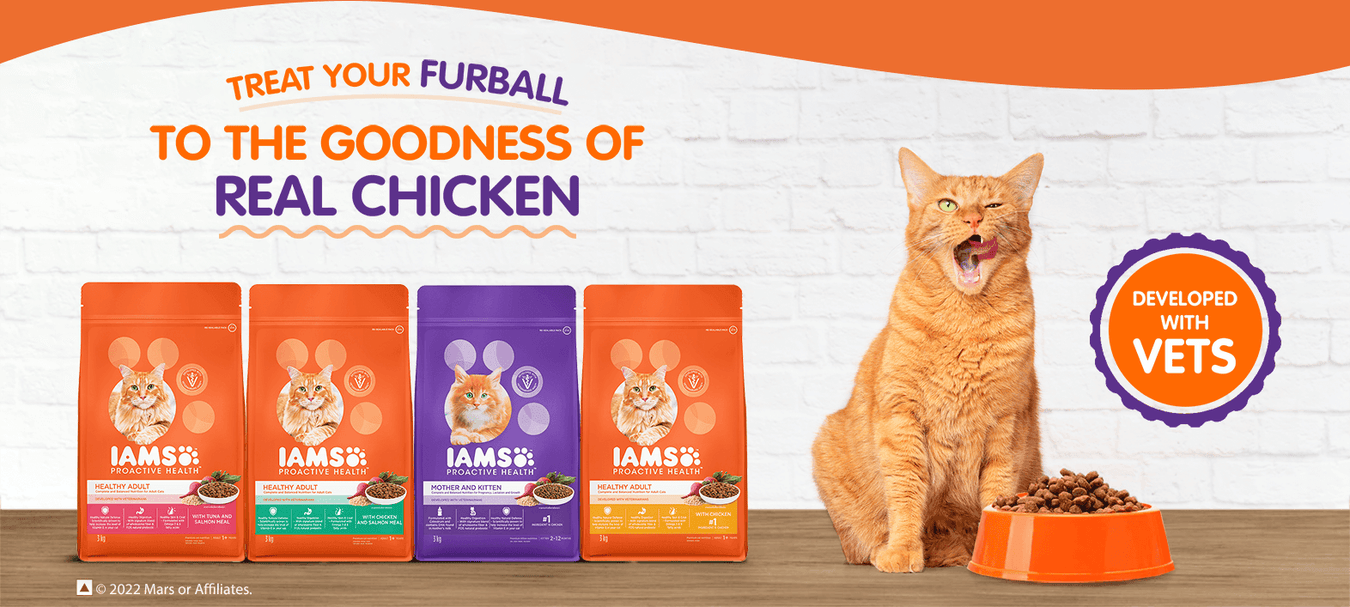 Iams pet online