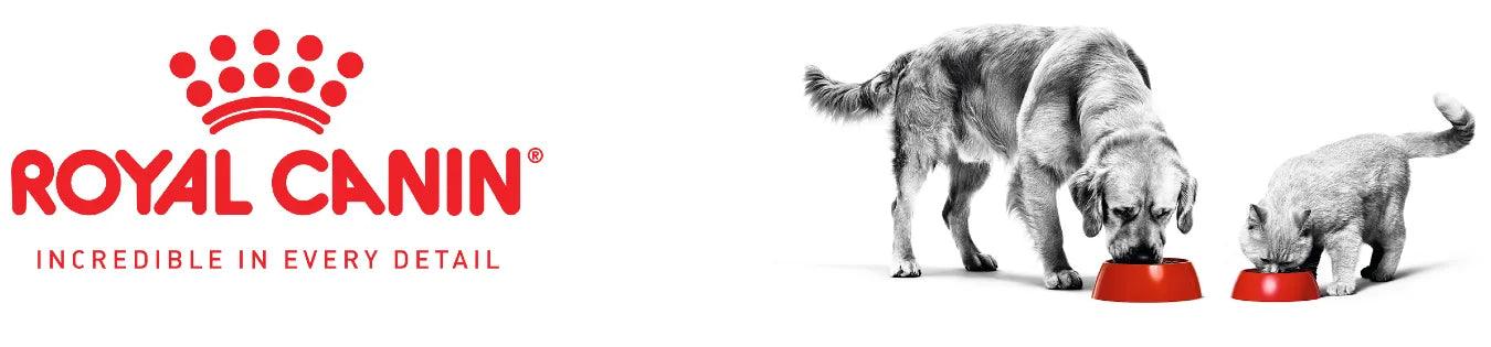 Captivating Royal Canin Dog Food Abstract Art Captivating Royal Canin Dog Food Abstract Art