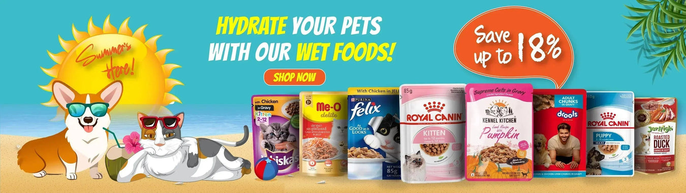 Summer Offer Dog and Cat Wet Foods - Ofypets