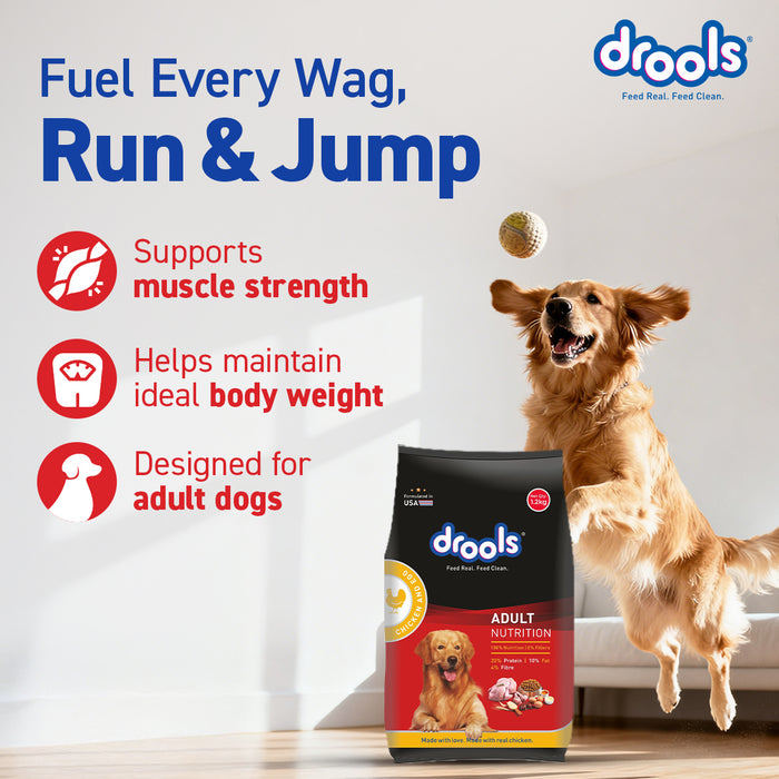 Drools Chicken and Egg Adult Dry Dog Food for Dog