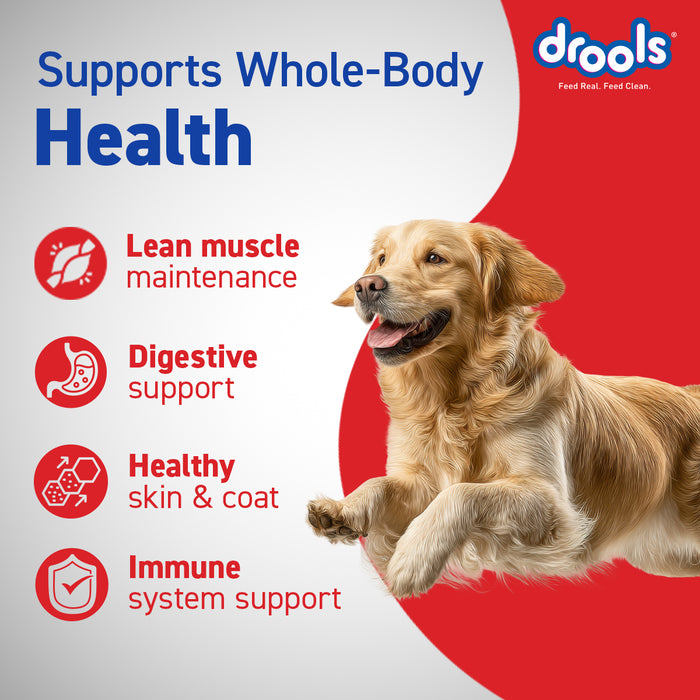 Drools Chicken and Egg Adult Dry Dog Food for Dog