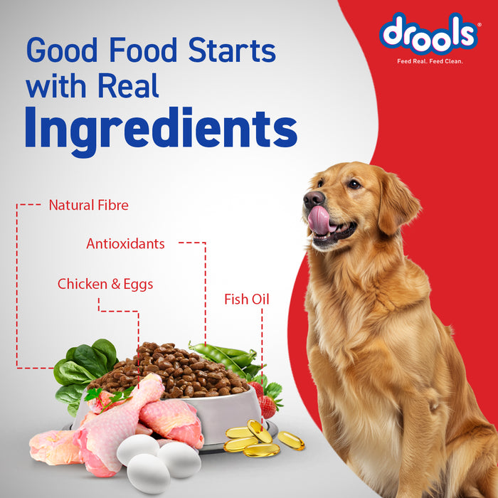 Drools CE Adult Food for Dog