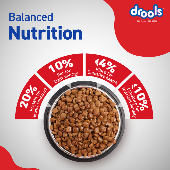 Drools CE Adult Food for Dog