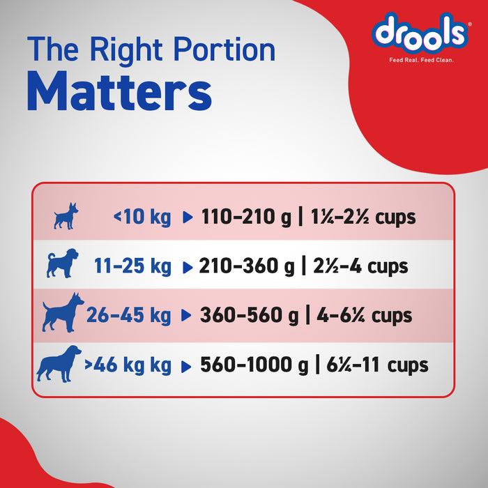 Drools Chicken and Egg Adult Dry Dog Food for Dog