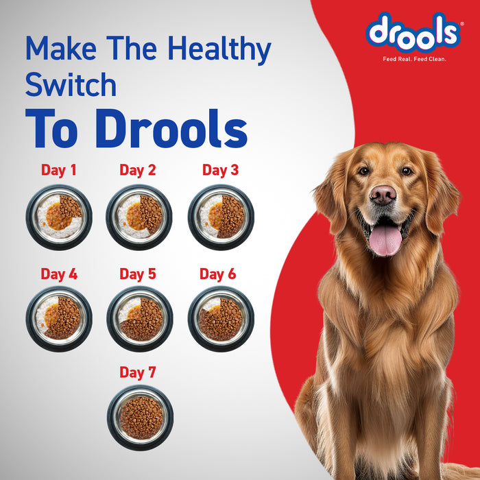 Drools CE Adult Food for Dog