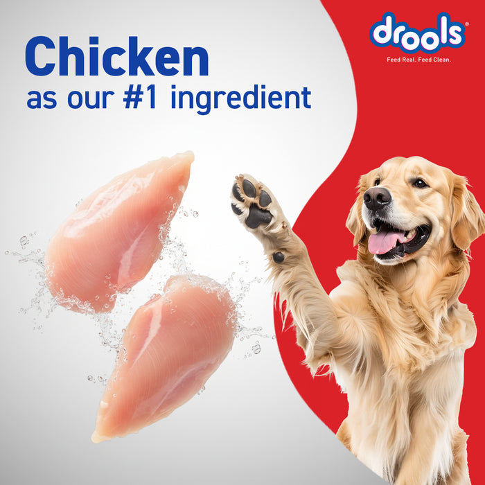 Drools CE Adult Food for Dog