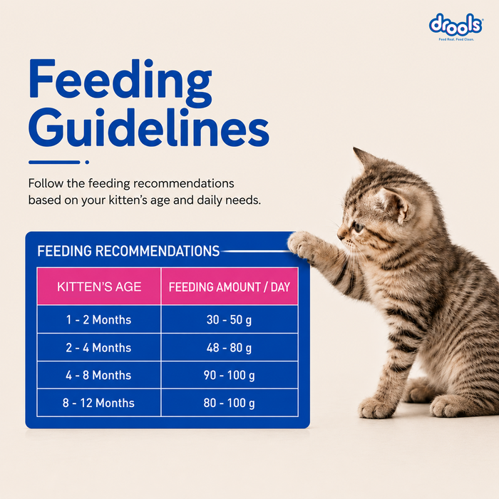 Drools Kitten Ocean Fish Food for Cat