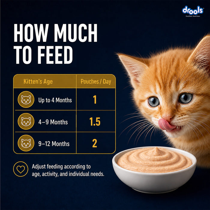 Drools Chicken Mousse Kitten Food for Cat