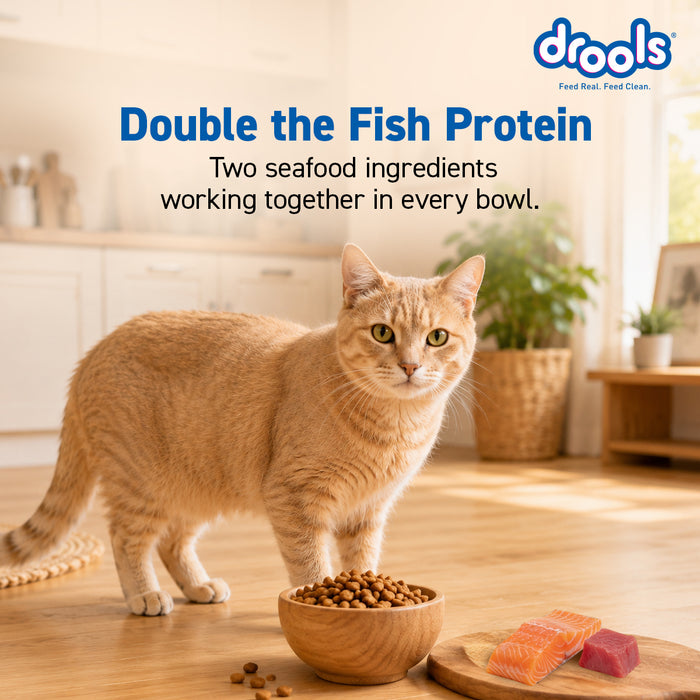 Drools Tuna and Salmon Adult Food for Cat