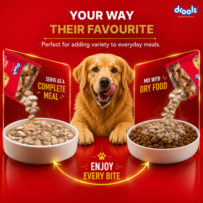 Drools Adult Chicken Chunks Gravy Food for Dogs