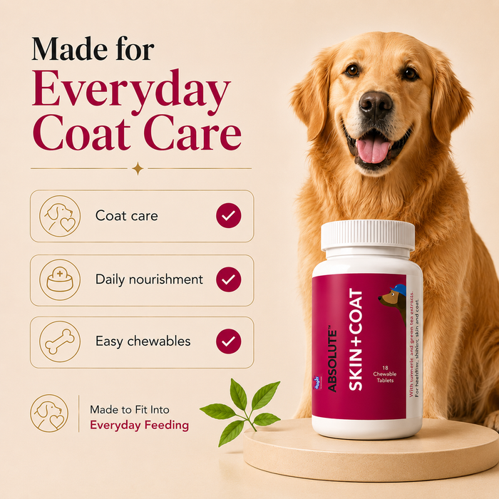 Drools Absolute Skin & Coat Tablets for Dog