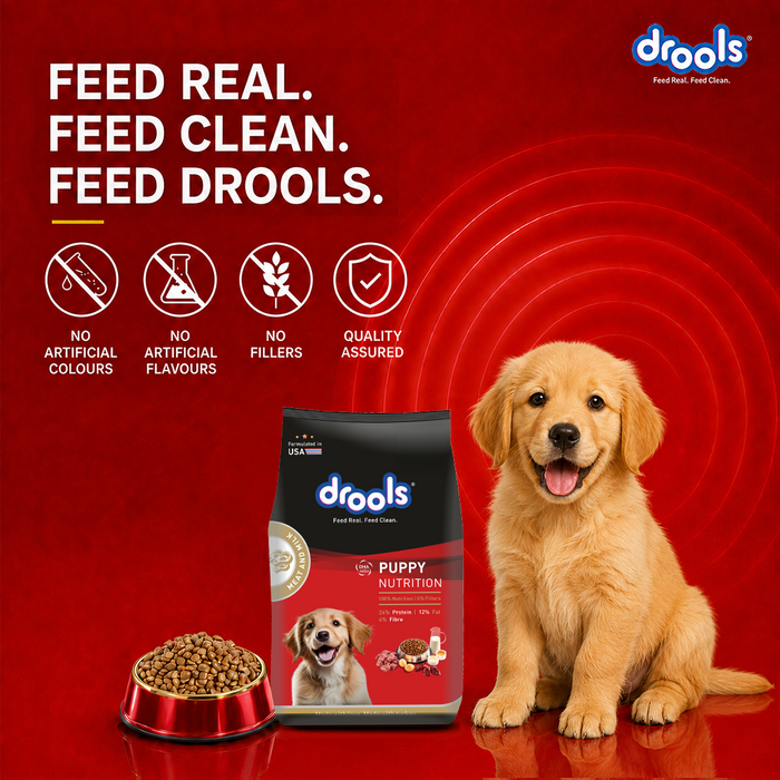 Drools Meat and Milk Puppy Food for Dog