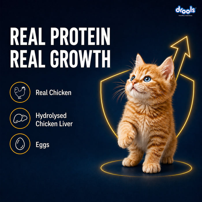 Drools Chicken Mousse Kitten Food for Cat