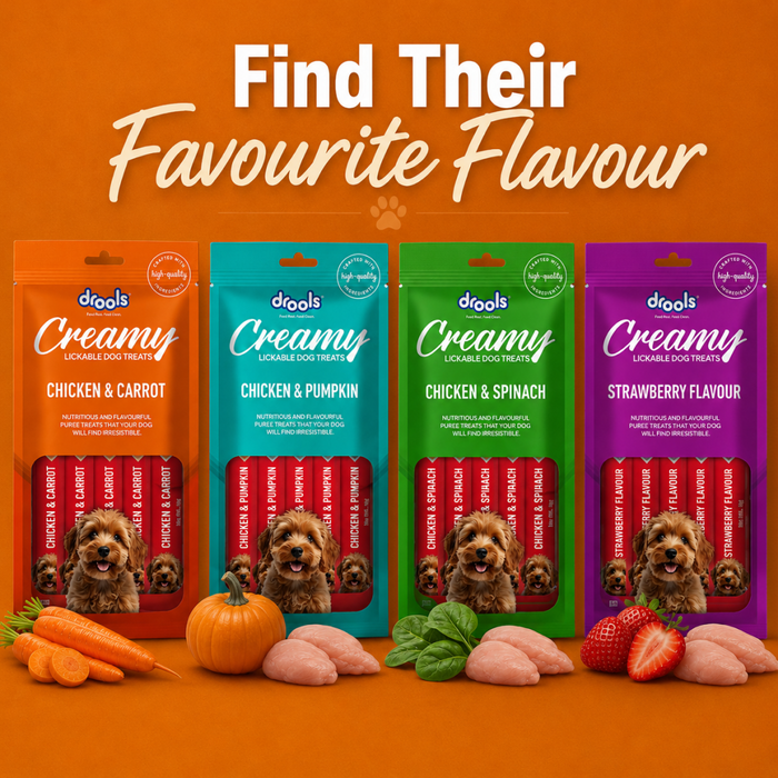 Drools Creamy Chicken & Carrot Sticks Treats for Dog