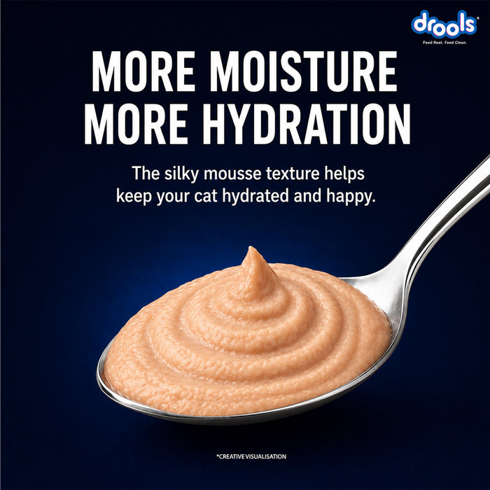 Drools Ocean Fish Mousse Food for Cat