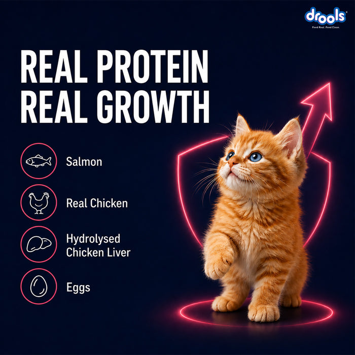 Drools Salmon Mousse Kitten Food for Cat
