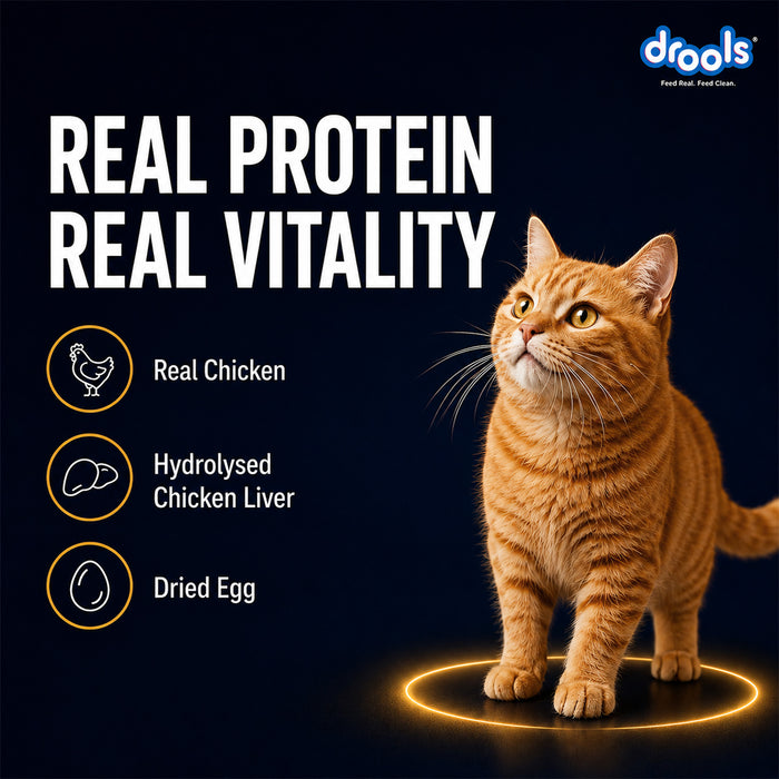 Drools Chicken Mousse Food for Cat