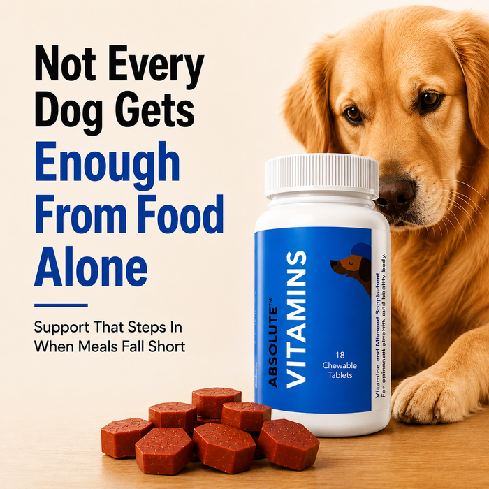 Drools Absolute Vitamin Tablet for Dogs