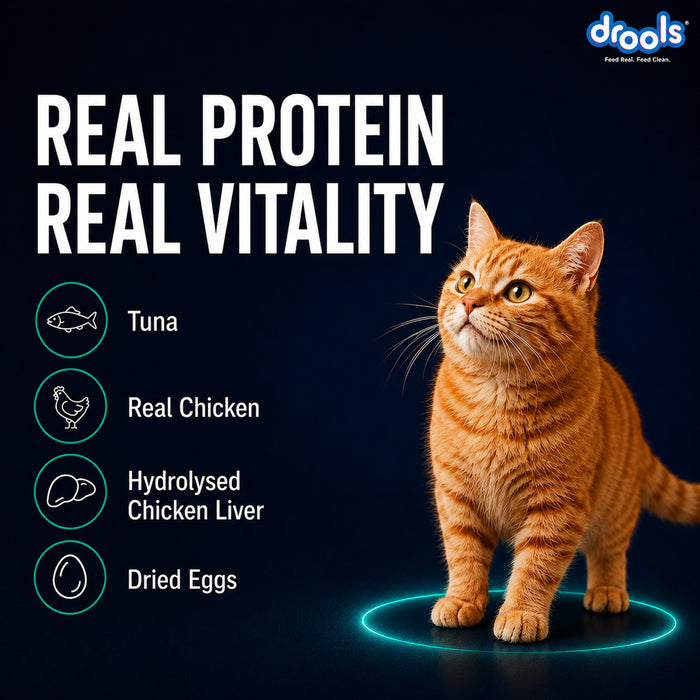 Drools Tuna Mousse Food for Cat