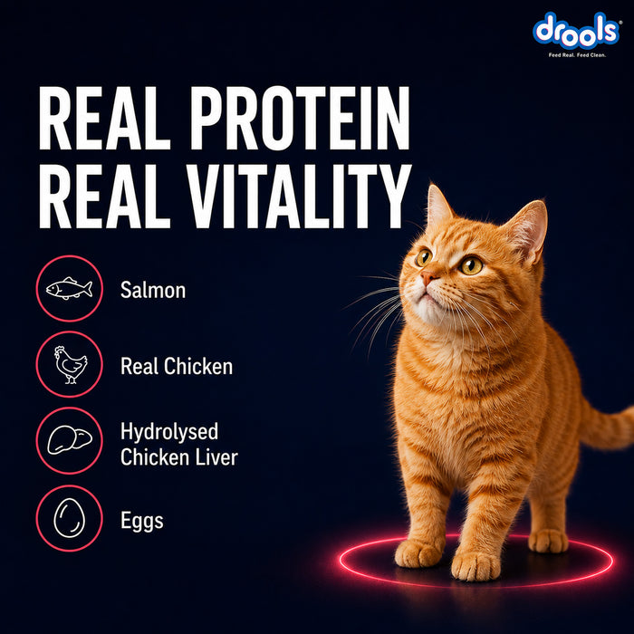 Drools Salmon Mousse Food for Cat