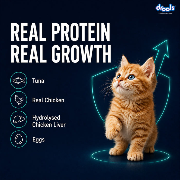 Drools Tuna Mousse Kitten Food for Cat