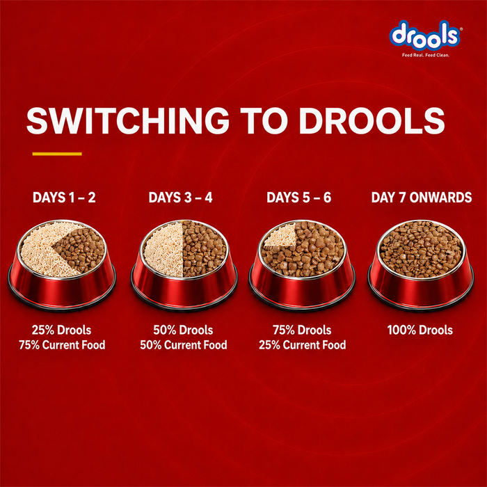 Drools Fish and Rice Adult Food for Dog
